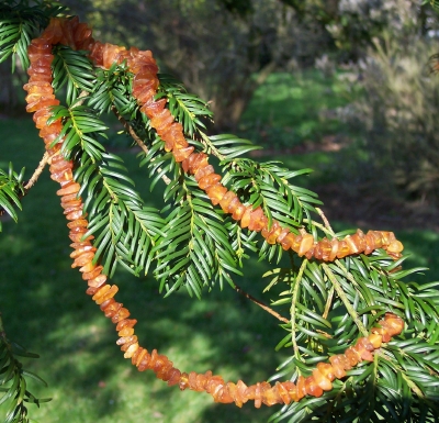 Amber Necklace ANECK03