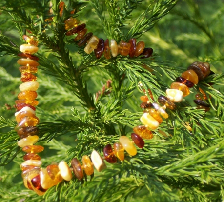 Amber Necklace ANECK12