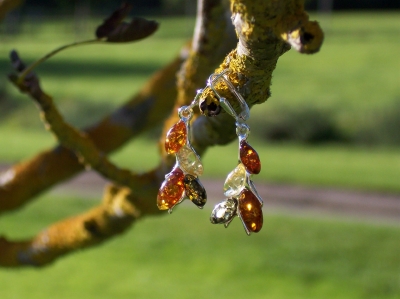 Amber Silver Earrings ER1009