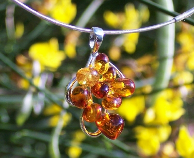 Amber Silver Pendant PE1019