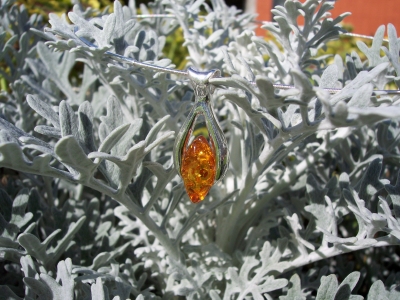 Amber Silver Pendant PE3004