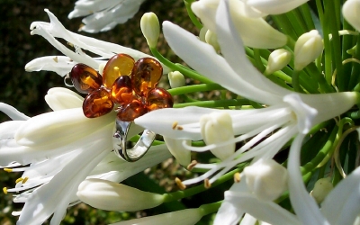 Amber Silver Ring RG1018